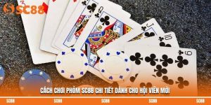 Cách Chơi Phỏm SC88 Chi Tiết Dành Cho Hội Viên Mới