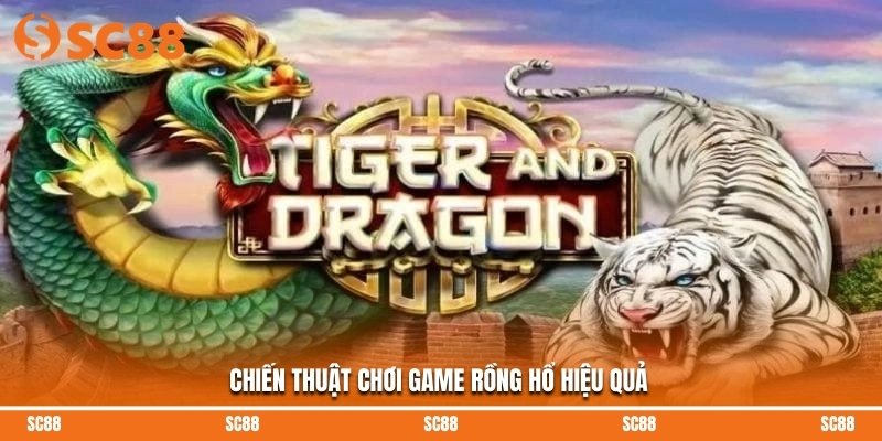 Chiến thuật chơi game rồng hổ hiệu quả