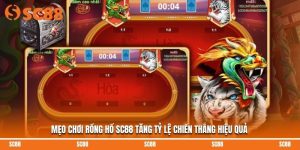 Mẹo Chơi Rồng Hổ SC88 Tăng Tỷ Lệ Chiến Thắng Hiệu Quả