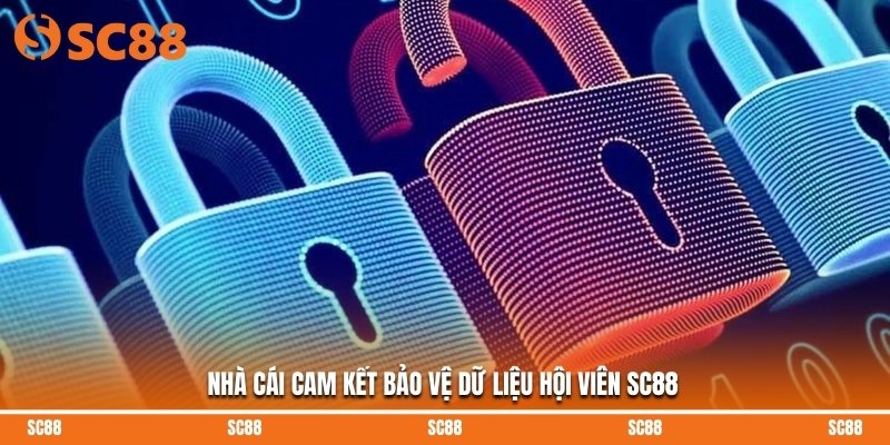 Nhà cái cam kết bảo vệ dữ liệu hội viên SC88