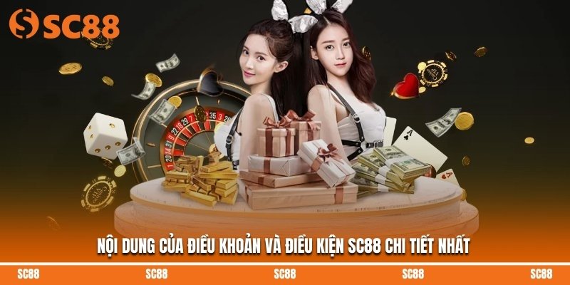 Nội dung của điều khoản và điều kiện SC88 chi tiết nhất
