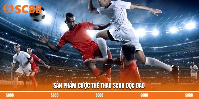 Sản phẩm cược thể thao SC88 độc đáo